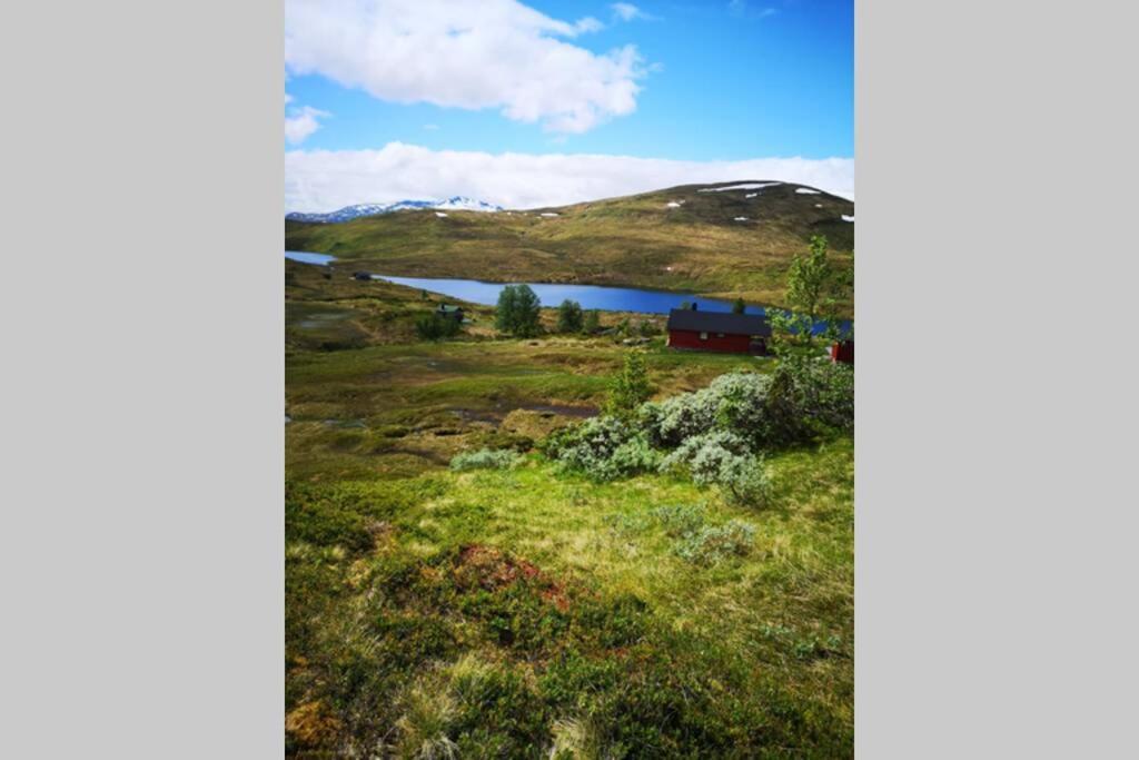 Casa Kleiv i Sogndalsdalen Villa Eksteriør billede
